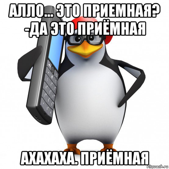 алло... это приемная? -да это приёмная ахахаха. приёмная, Мем   Пингвин звонит