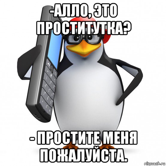 -алло, это проститутка? - простите меня пожалуйста., Мем   Пингвин звонит