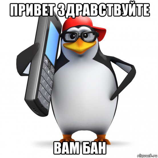 привет здравствуйте вам бан, Мем   Пингвин звонит