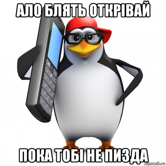 ало блять открівай пока тобі не пизда, Мем   Пингвин звонит