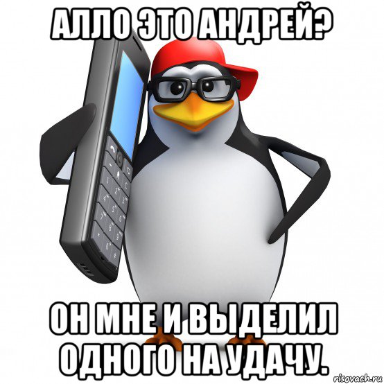 алло это андрей? он мне и выделил одного на удачу., Мем   Пингвин звонит