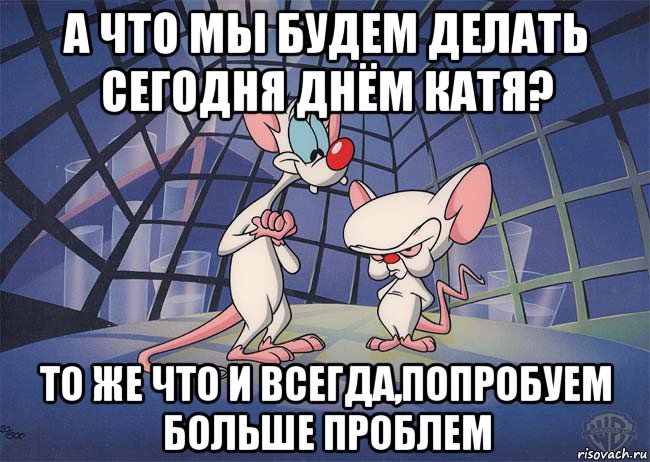 а что мы будем делать сегодня днём катя? то же что и всегда,попробуем больше проблем