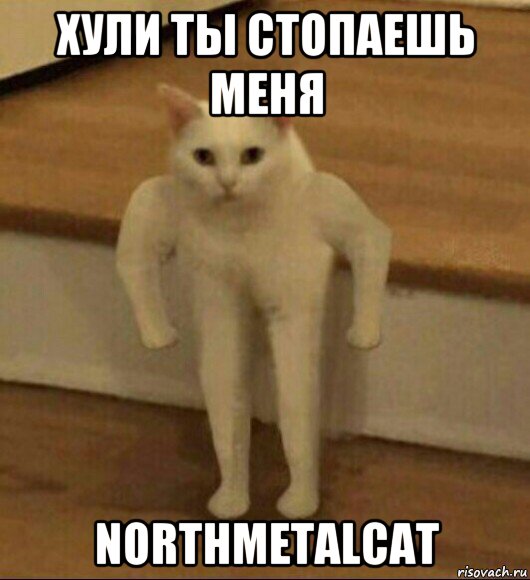 хули ты стопаешь меня northmetalcat, Мем  Полукот