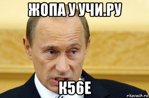 жопа у учи.ру к56е, Мем путин