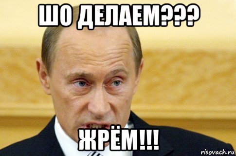 шо делаем??? жрём!!!, Мем путин