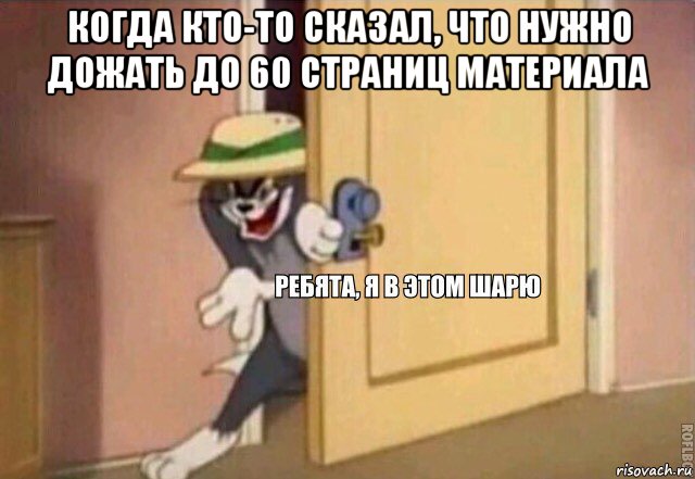 когда кто-то сказал, что нужно дожать до 60 страниц материала , Мем    Ребята я в этом шарю