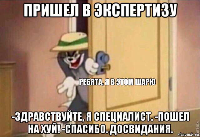 пришел в экспертизу -здравствуйте, я специалист. -пошел на хуй! -спасибо. досвидания., Мем    Ребята я в этом шарю