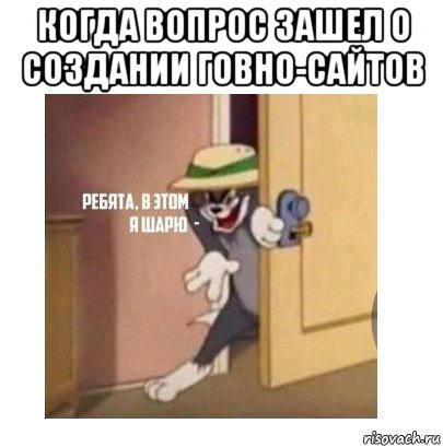 когда вопрос зашел о создании говно-сайтов , Мем Ребята я в этом шарю