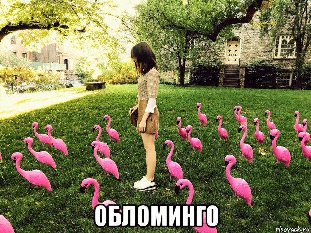  обломинго, Мем Розовые курицы
