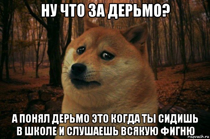 ну что за дерьмо? а понял дерьмо это когда ты сидишь в школе и слушаешь всякую фигню, Мем SAD DOGE