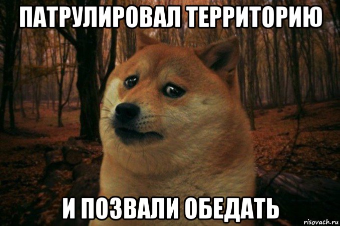 патрулировал территорию и позвали обедать, Мем SAD DOGE