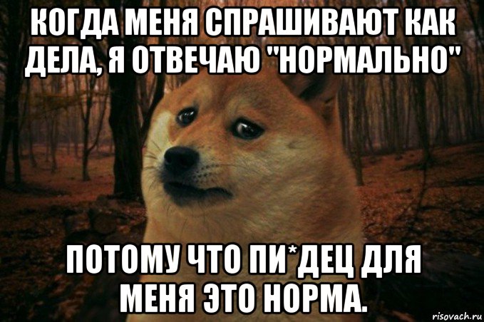 Нормальные Картинки Надо