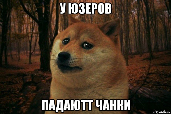 у юзеров падаютт чанки, Мем SAD DOGE