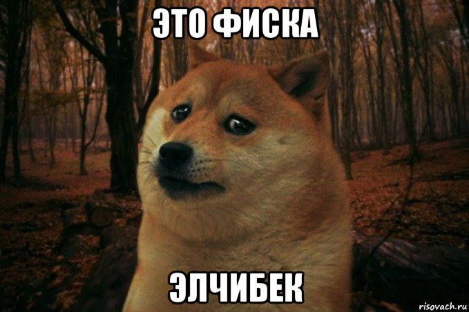 это фиска элчибек, Мем SAD DOGE