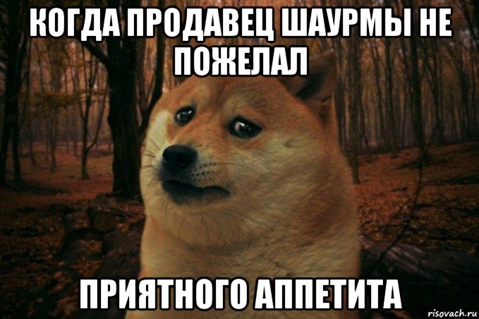 когда продавец шаурмы не пожелал приятного аппетита, Мем SAD DOGE