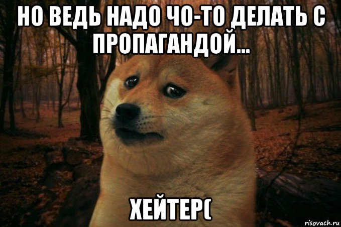 но ведь надо чо-то делать с пропагандой... хейтер(, Мем SAD DOGE