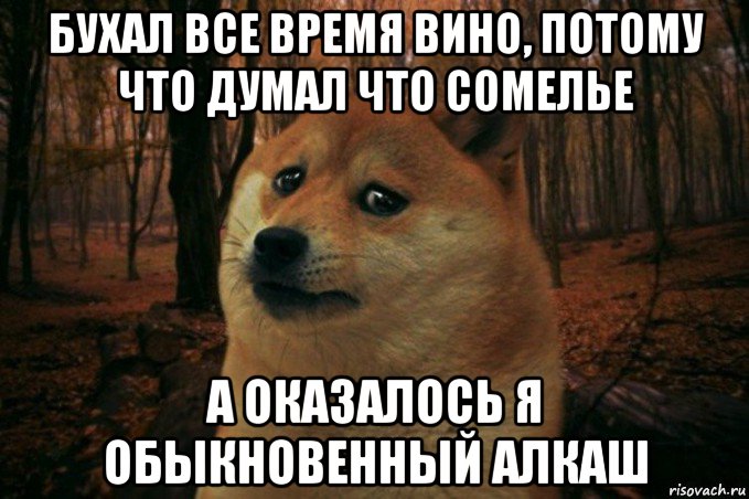 бухал все время вино, потому что думал что сомелье а оказалось я обыкновенный алкаш, Мем SAD DOGE