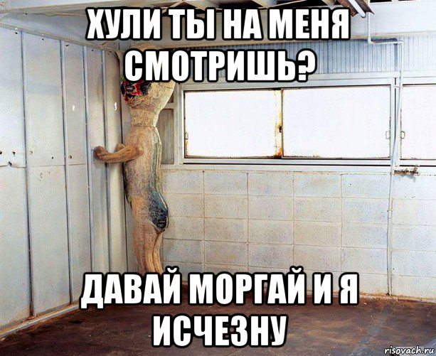 хули ты на меня смотришь? давай моргай и я исчезну