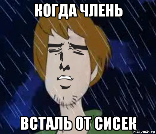 когда члень всталь от сисек