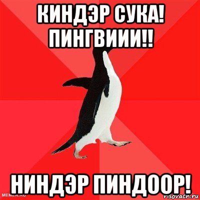киндэр сука! пингвиии!! ниндэр пиндоор!, Мем  социально-агрессивный пингвин