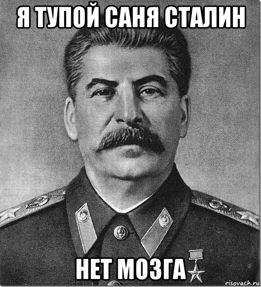 я тупой саня сталин нет мозга