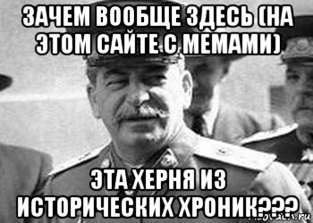 зачем вообще здесь (на этом сайте с мемами) эта херня из исторических хроник???