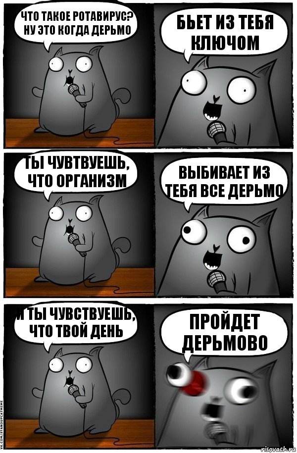 Что такое ротавирус? Ну это когда дерьмо бьет из тебя ключом Ты чувтвуешь, что организм выбивает из тебя все дерьмо И ты чувствуешь, что твой день Пройдет дерьмово, Комикс  Стендап-кот