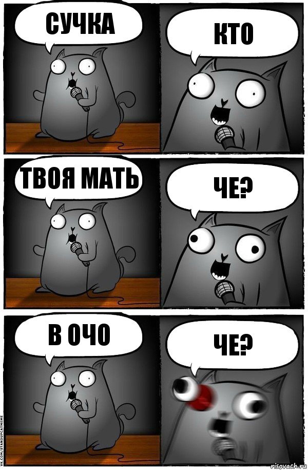 Сучка кто твоя мать че? в очо че?