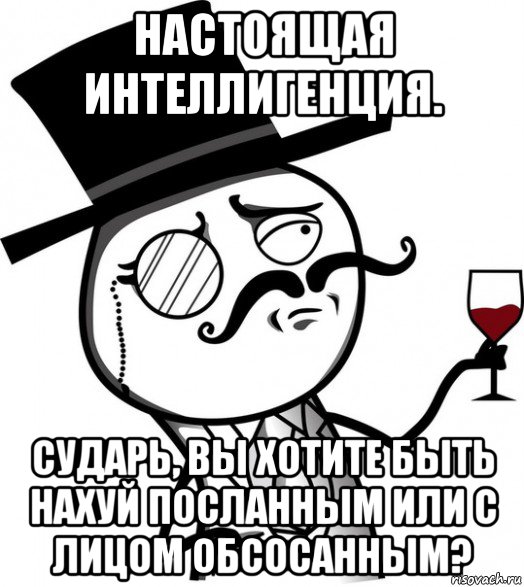 настоящая интеллигенция. сударь, вы хотите быть нахуй посланным или с лицом обсосанным?, Мем сударь