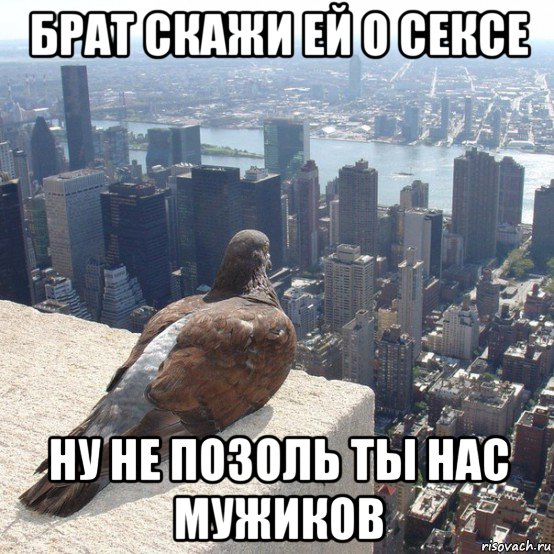 брат скажи ей о сексе ну не позоль ты нас мужиков