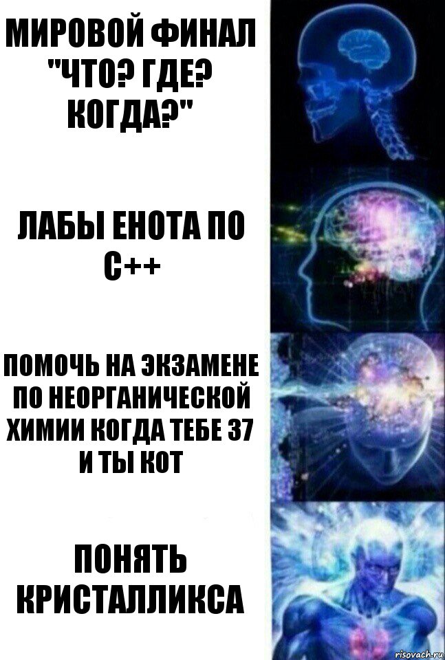 мировой финал "Что? Где? Когда?" Лабы Енота по С++ помочь на экзамене по неорганической химии когда тебе 37 и ты кот понять кристалликса, Комикс  Сверхразум