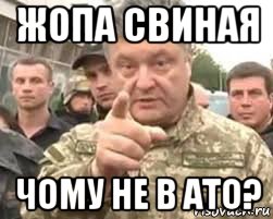 жопа свиная чому не в ато?, Мем свинья