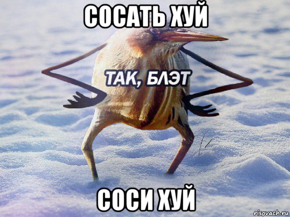 сосать хуй соси хуй, Мем  Так блэт птица с руками