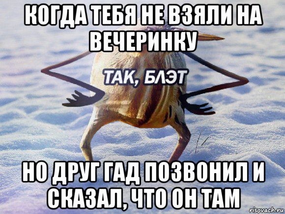 когда тебя не взяли на вечеринку но друг гад позвонил и сказал, что он там, Мем  Так блэт птица с руками