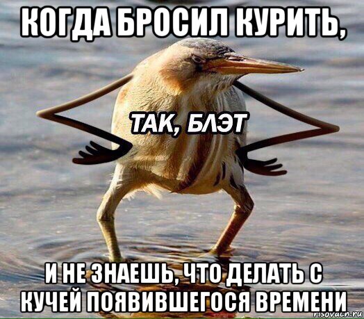 когда бросил курить, и не знаешь, что делать с кучей появившегося времени