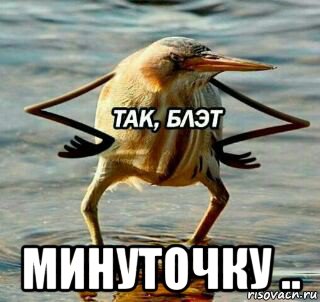 минуточку .., Мем Так блэт