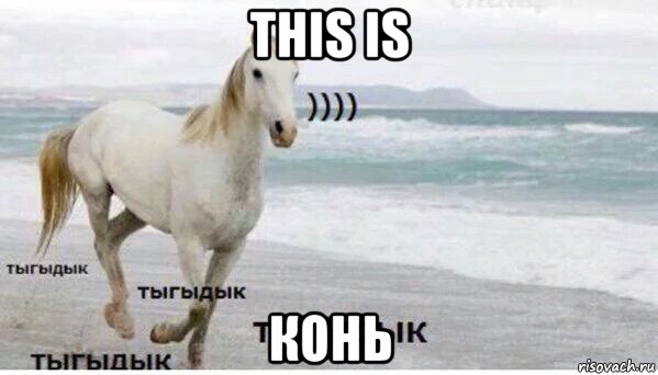 this is конь, Мем   Тыгыдык
