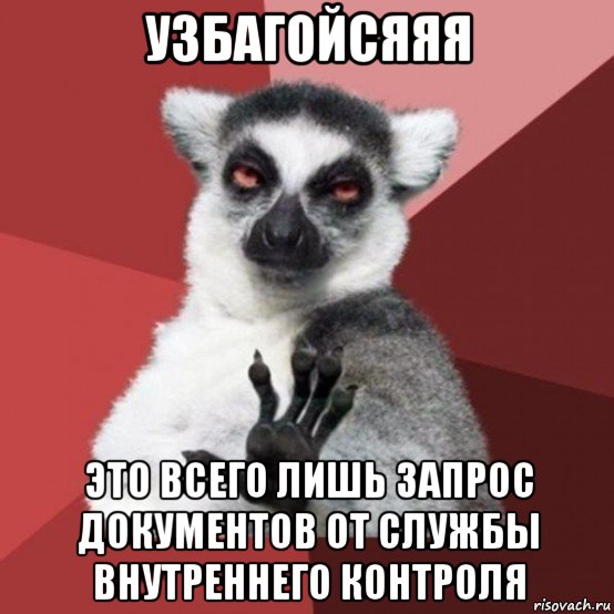 узбагойсяяя это всего лишь запрос документов от службы внутреннего контроля, Мем Узбагойзя