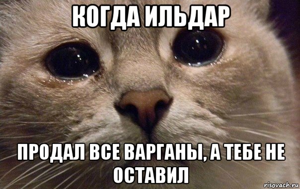 когда ильдар продал все варганы, а тебе не оставил, Мем   В мире грустит один котик