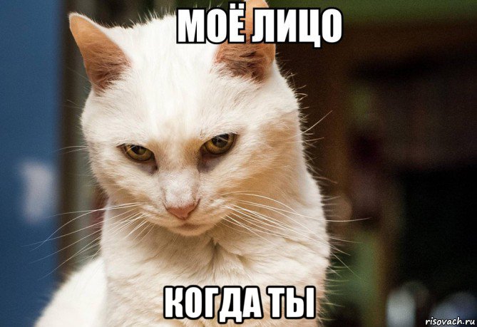  когда ты