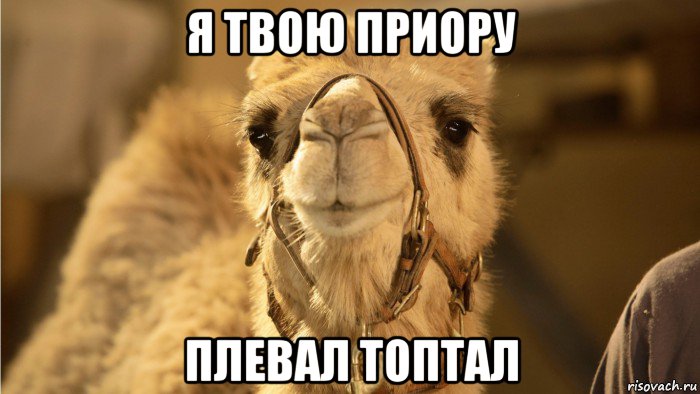 я твою приору плевал топтал
