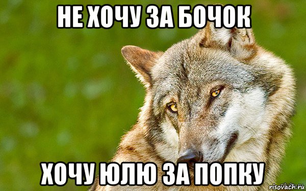 не хочу за бочок хочу юлю за попку, Мем   Volf