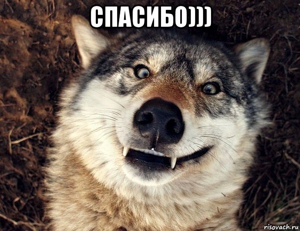 спасибо))) 