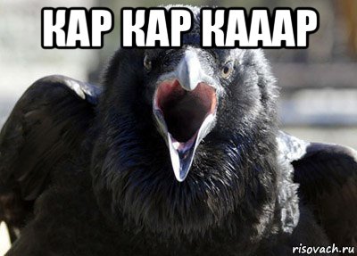 кар кар кааар , Мем ворона