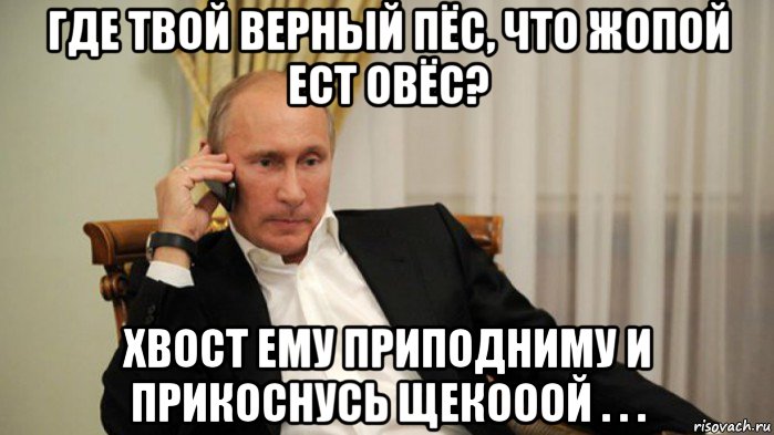где твой верный пёс, что жопой ест овёс? хвост ему приподниму и прикоснусь щекооой . . .