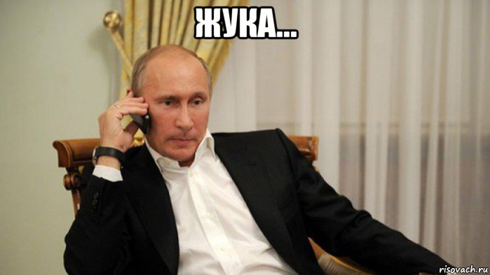 жука... 