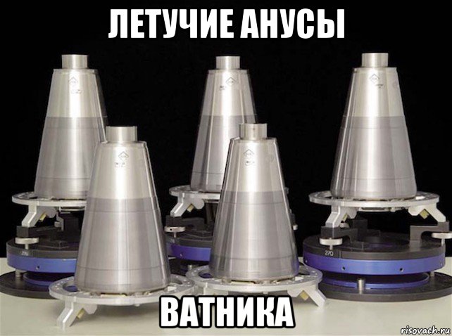 летучие анусы ватника