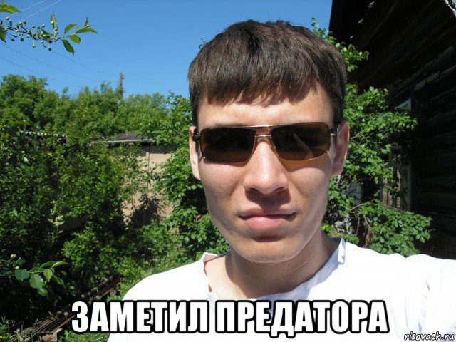  заметил предатора