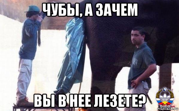 Давай сыночек давай лезь мем Все мемы Задница - Рисовач .Ру