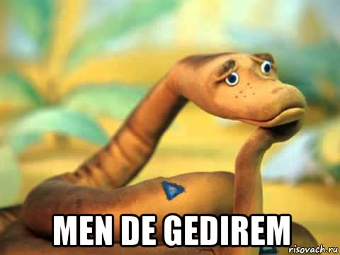  men de gedirem